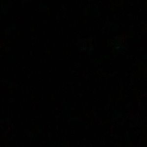 Meet your Posher, Ronnie